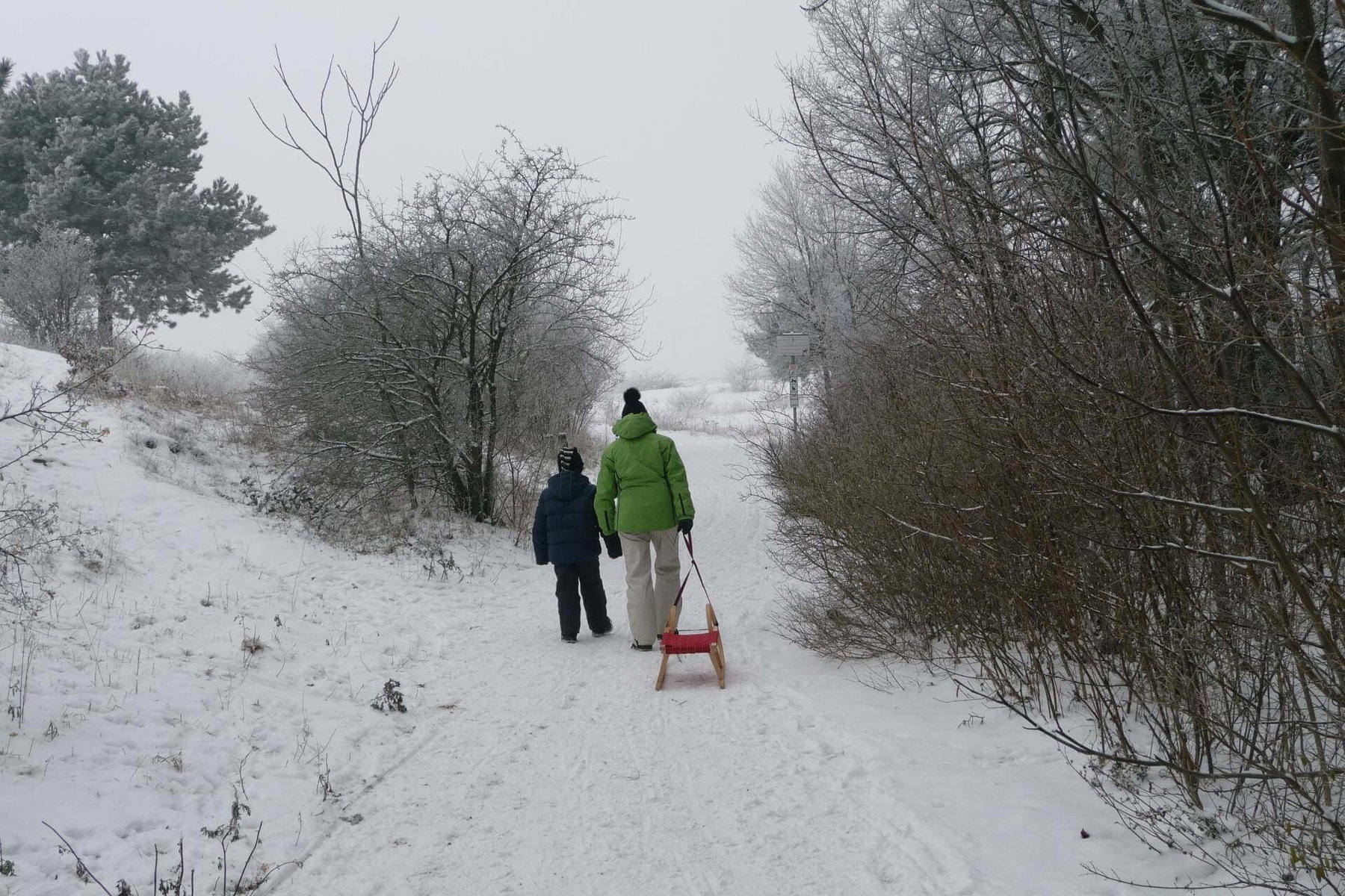 Rodeln auf der Perchtoldsdorfer Heide