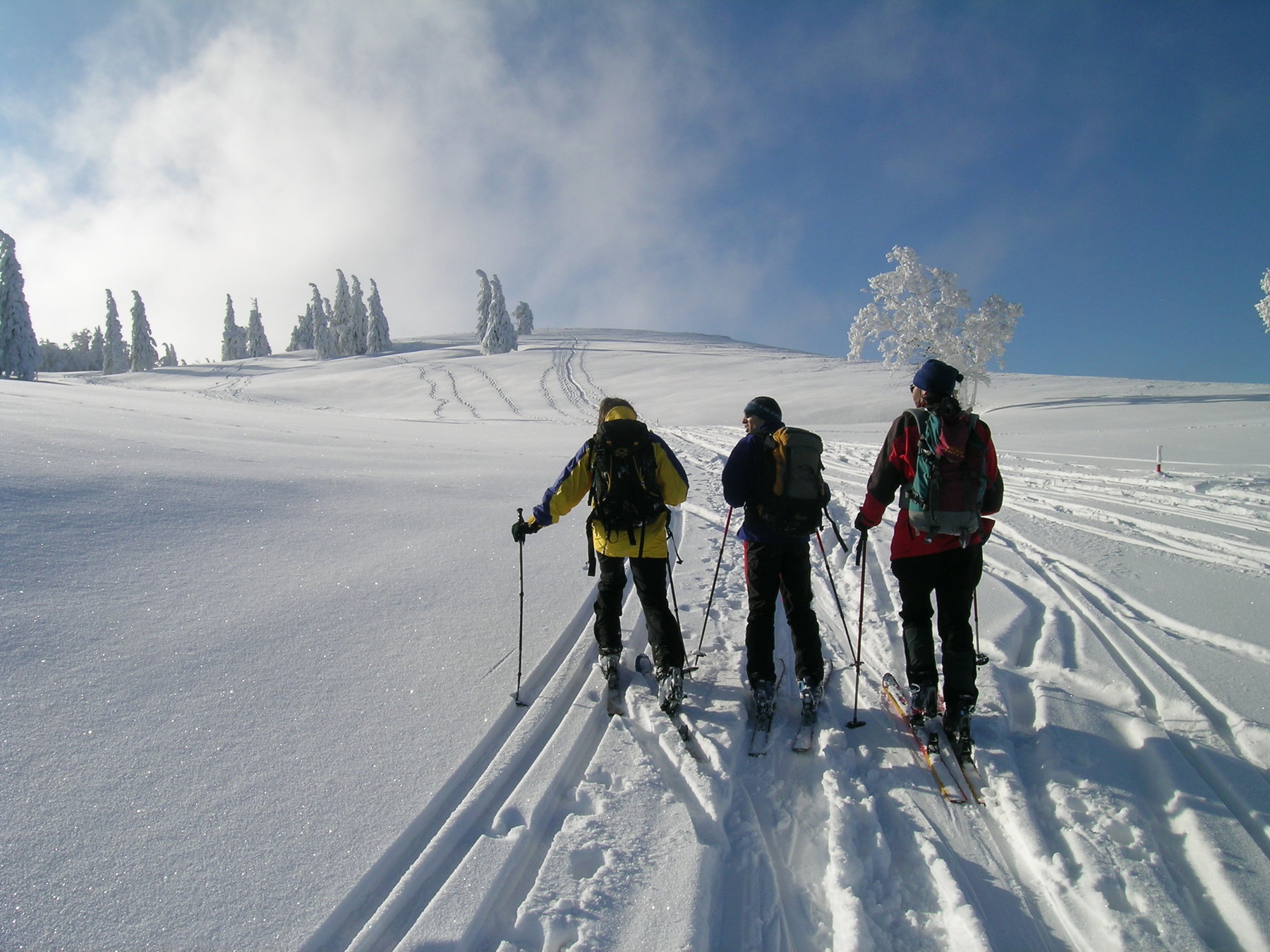 Unterwegs auf der Hochfläche. Foto: Alpenverein Edelweiss