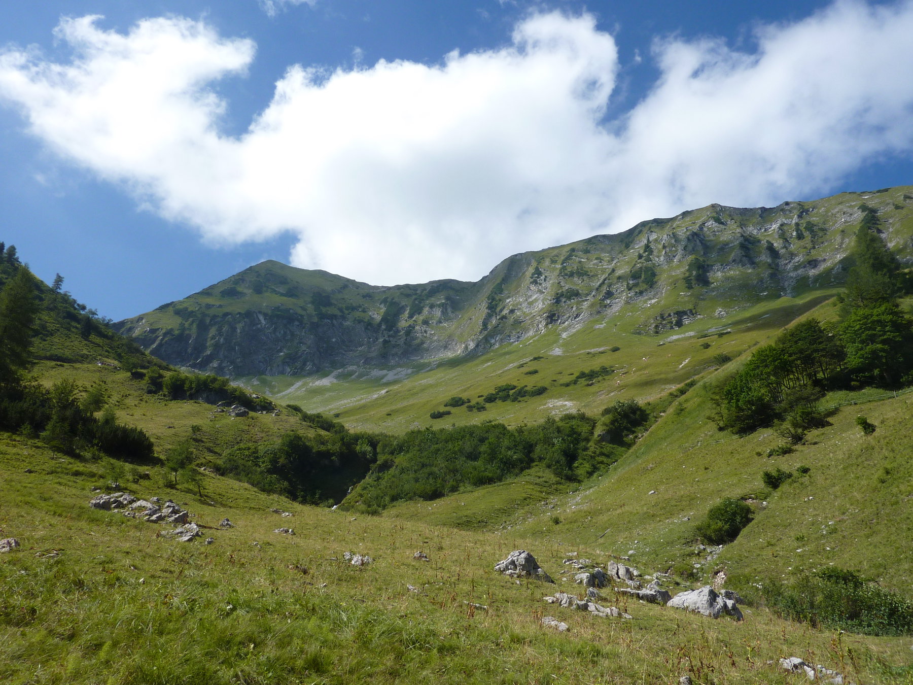 Moosenalm. Foto S. Sturn