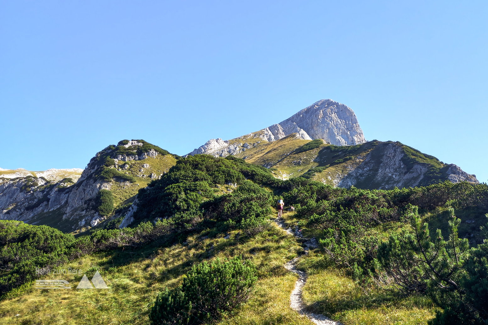 Durch Latschenfelder geht es dem Ziel entgegen. Foto: Martina Friesenbichler