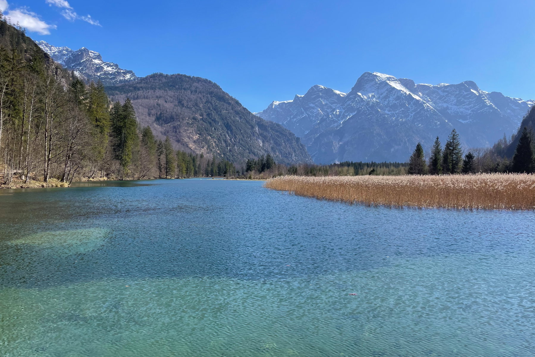 Blick von der Brücke Almtal Schwarzenbrunn am nördlichsten Teil vom Almsee. Foto: Eva Maria Ginal