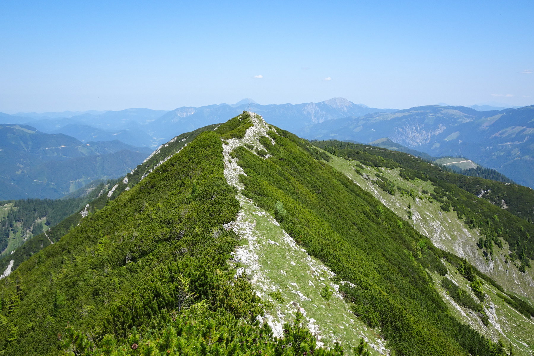Grat vom Gipfelkreuz zum Hochkogel (im Hintergrund Ötscher und Dürrenstein)