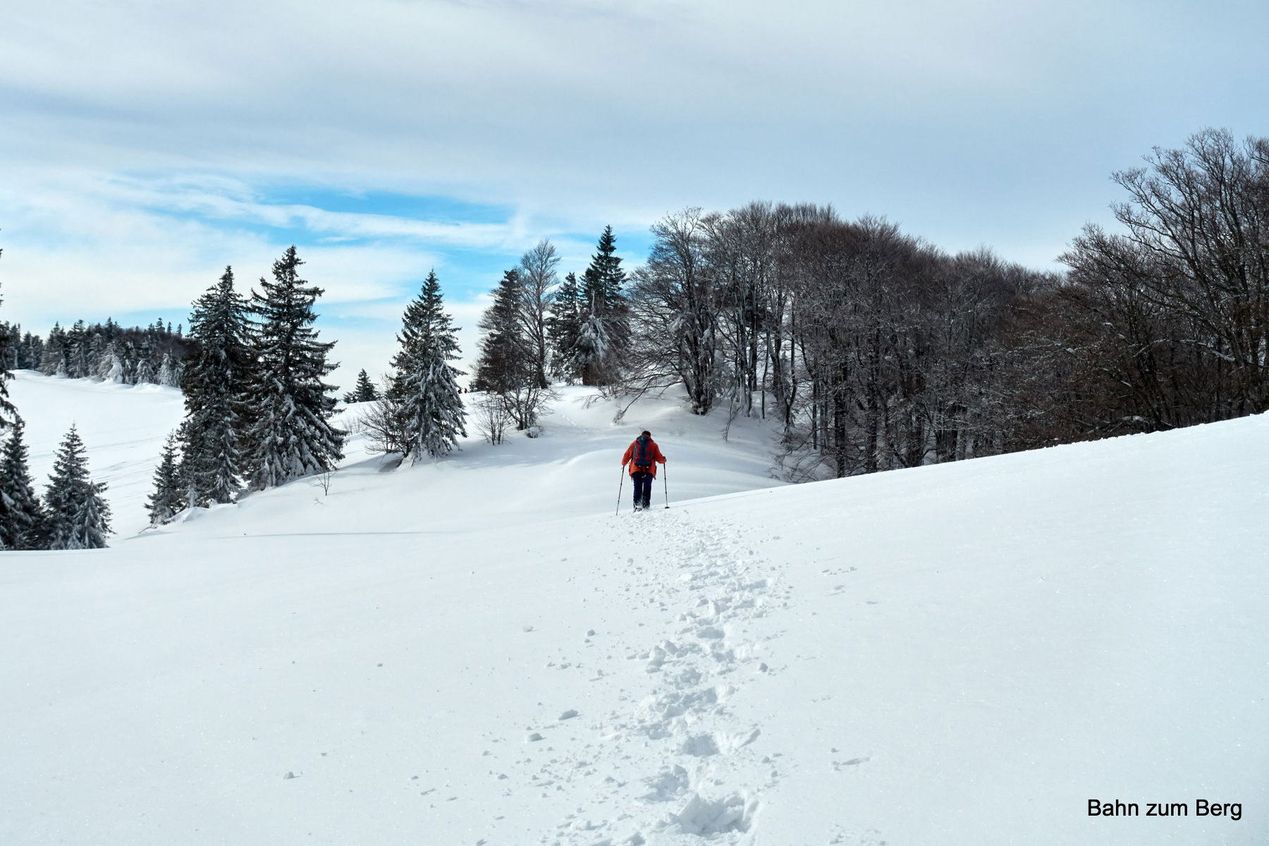Schneeschuhwanderung Eisenstein