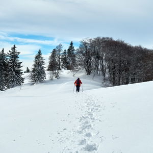 Schneeschuhwanderung Eisenstein