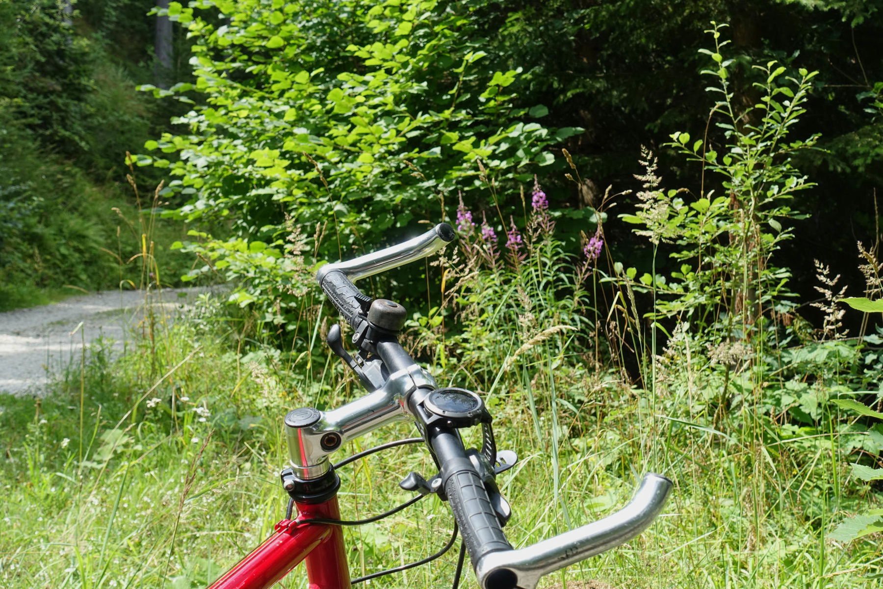 Mountainbike – nur hinunter ist es schneller