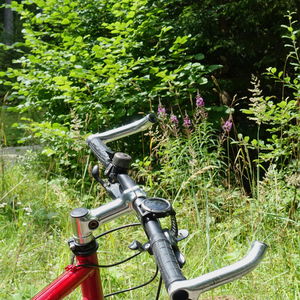 Mountainbike – nur hinunter ist es schneller