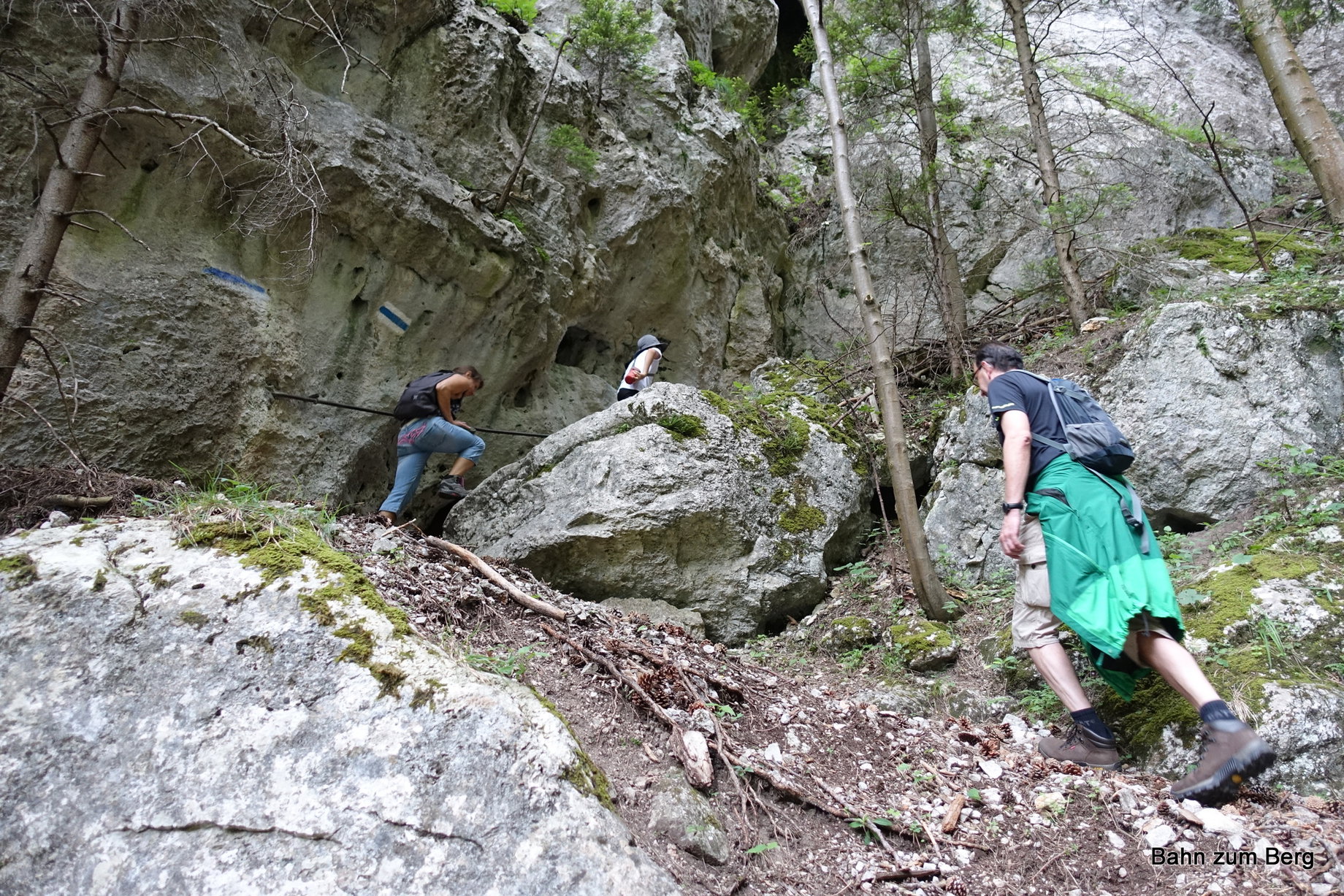 Waldeggersteig auf der Hinteren Hohen Wand