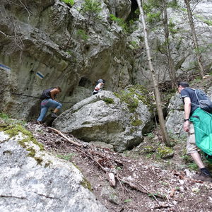 Waldeggersteig und Krumme Ries