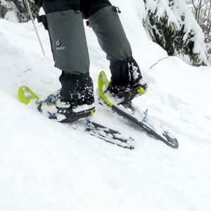 Einsteiger Schneeschuhwanderung Rax