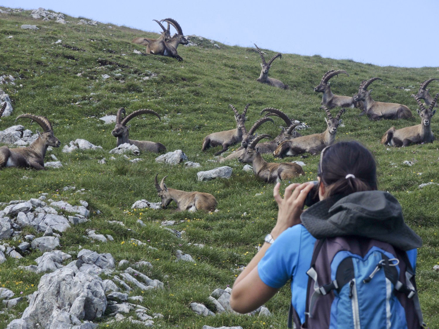 Auf das Gößeck von Kammern