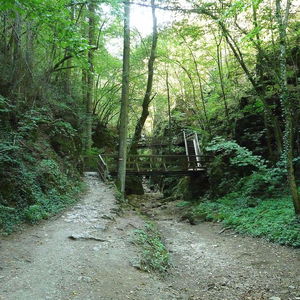 Johannesbachklamm bei Sommerhitze