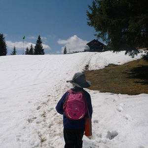 Auf die Große Scheibe