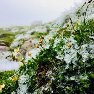 Auf ein Eis am Großen Pyhrgas