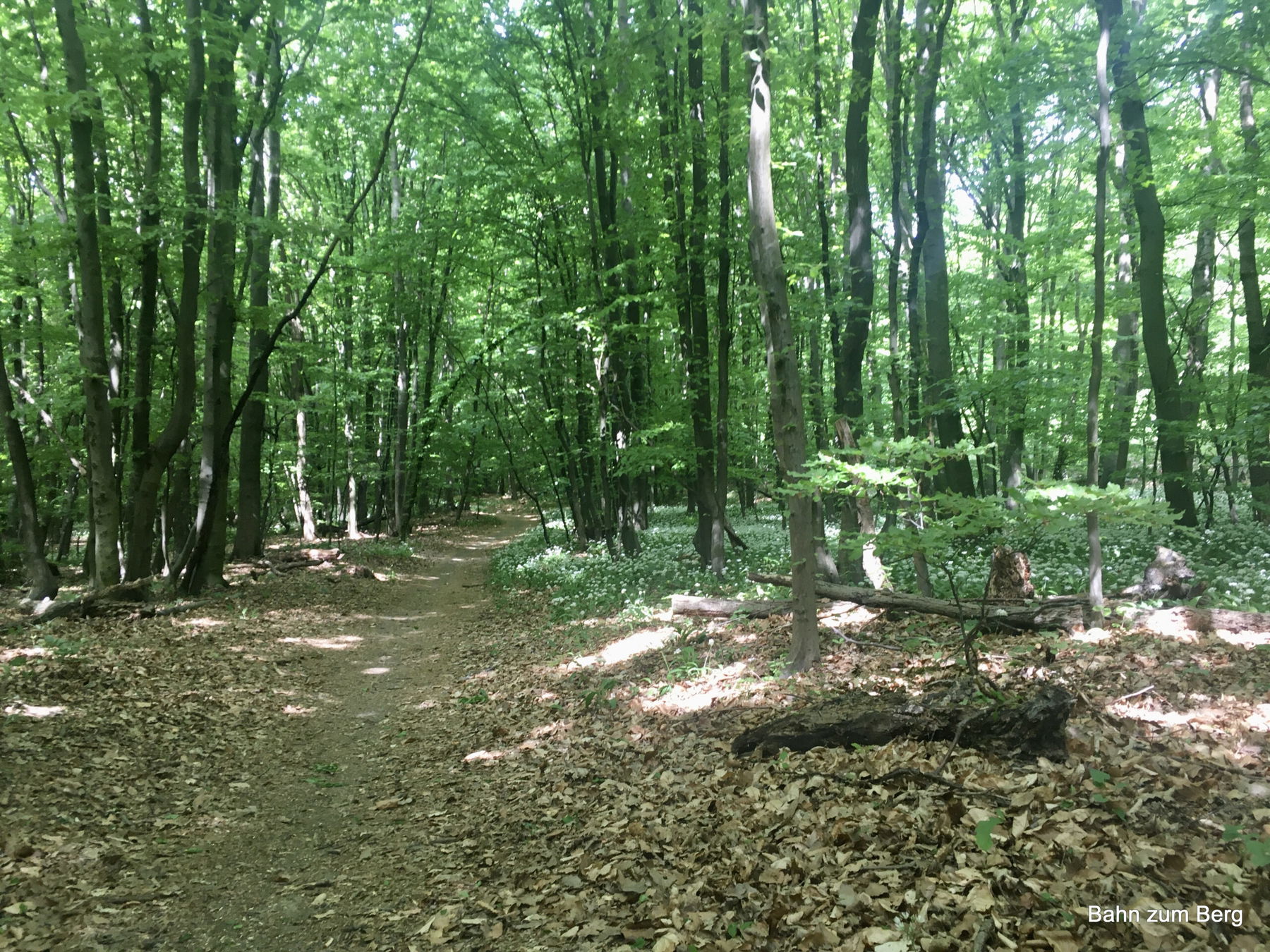 Durch den Naturpark Eichenhain nach Klosterneuburg