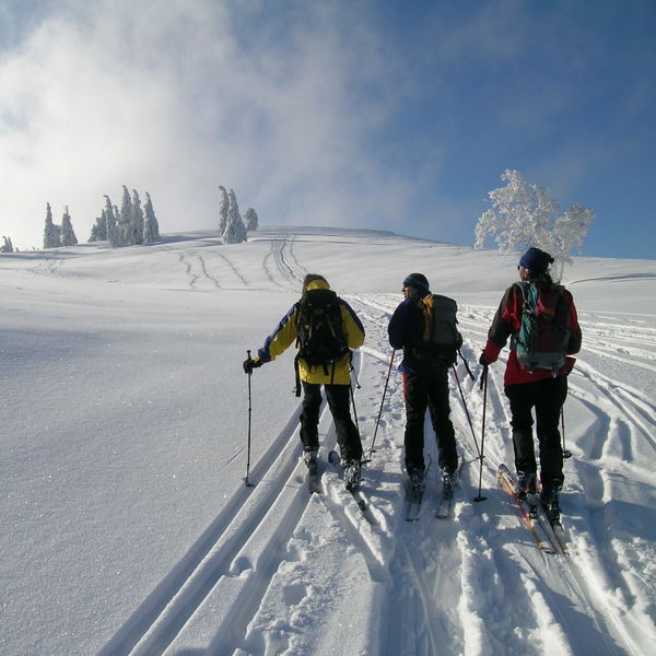 NÖ Voralpen-Haute-Route