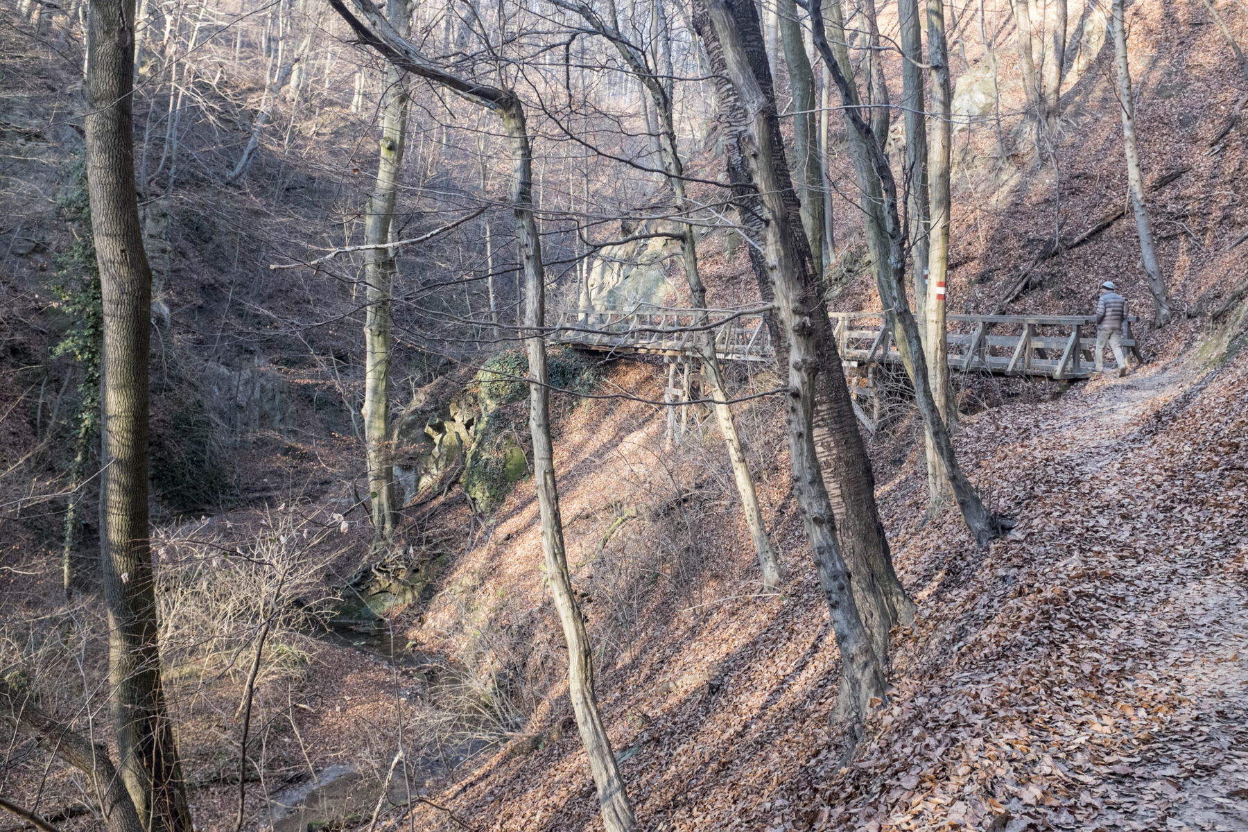 Eine Wienerwald-Überschreitung – von Mauerbach nach St. Andrä-Wördern