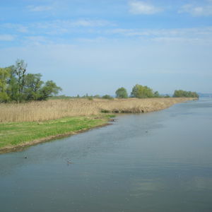 41 Natura Trail „Das Rheindelta“