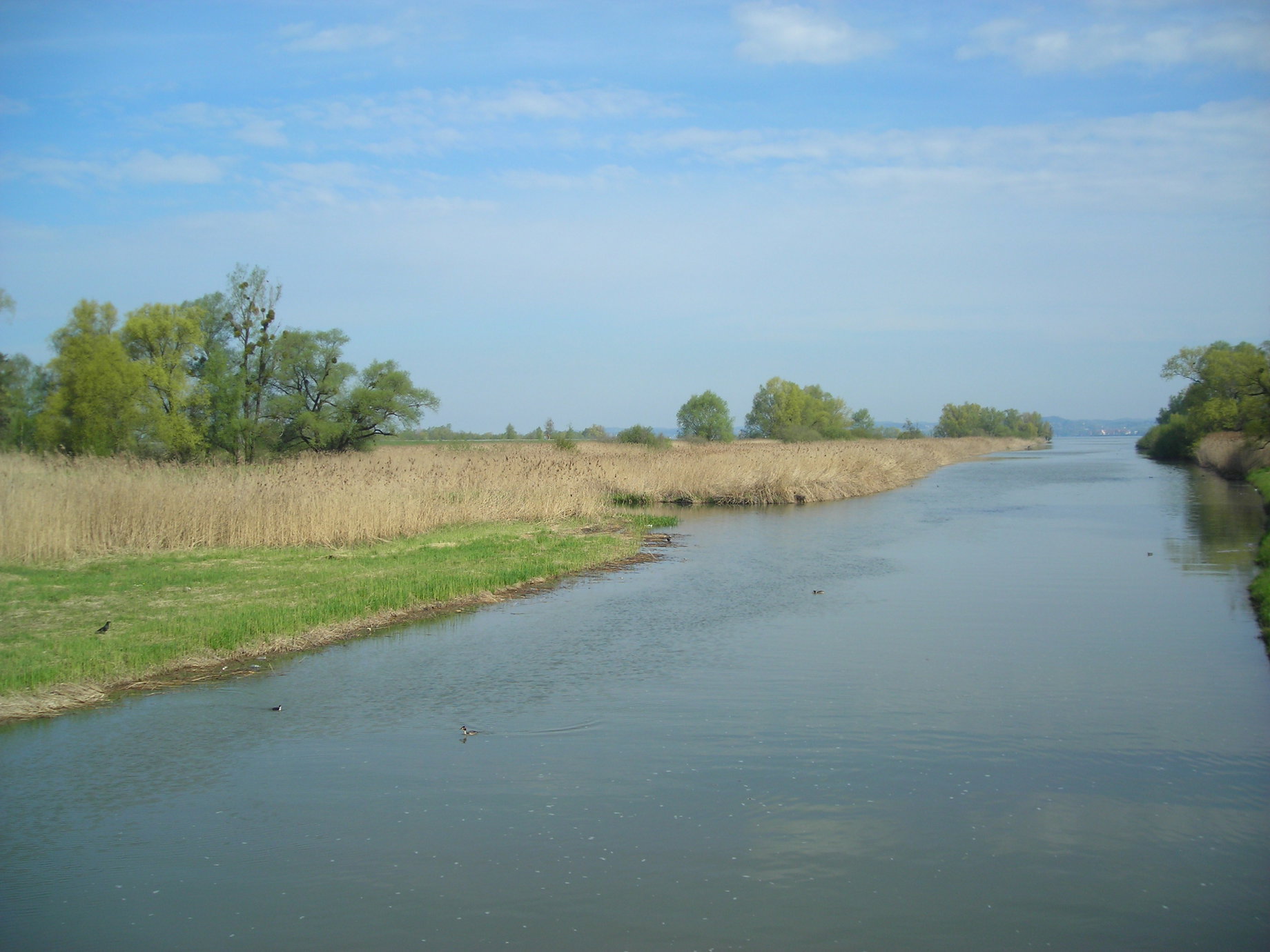 Rheindelta. Foto: Andrea Lichtenecker