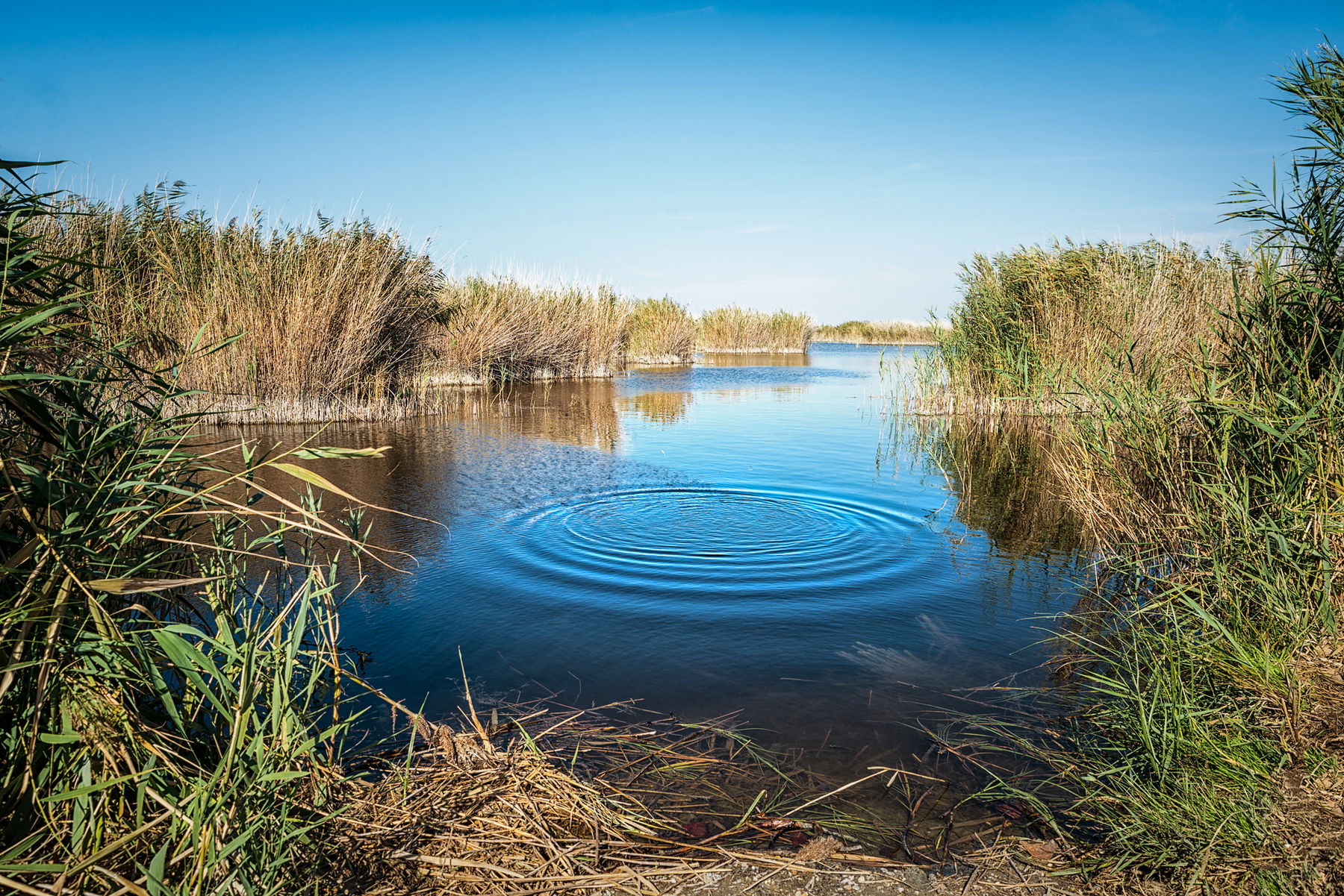 4 Naturlehrpfad in Illmitz
