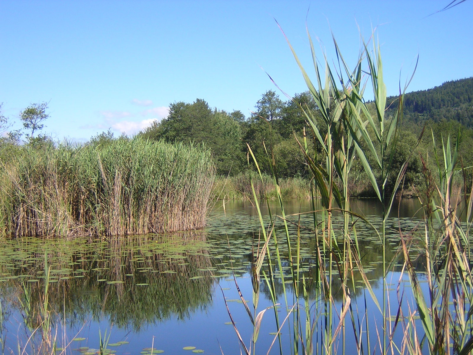 5 Natura Trail „Im Keutschacher Seental“