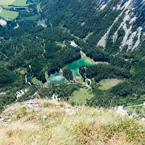 Sommerlich überm Grünen See