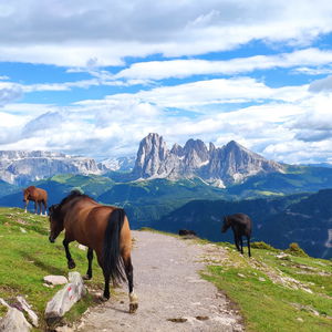 4 Tage in den Dolomiten - von Brixen nach Klausen