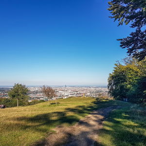 46 Urban Hiking durch den Lainzer Tiergarten