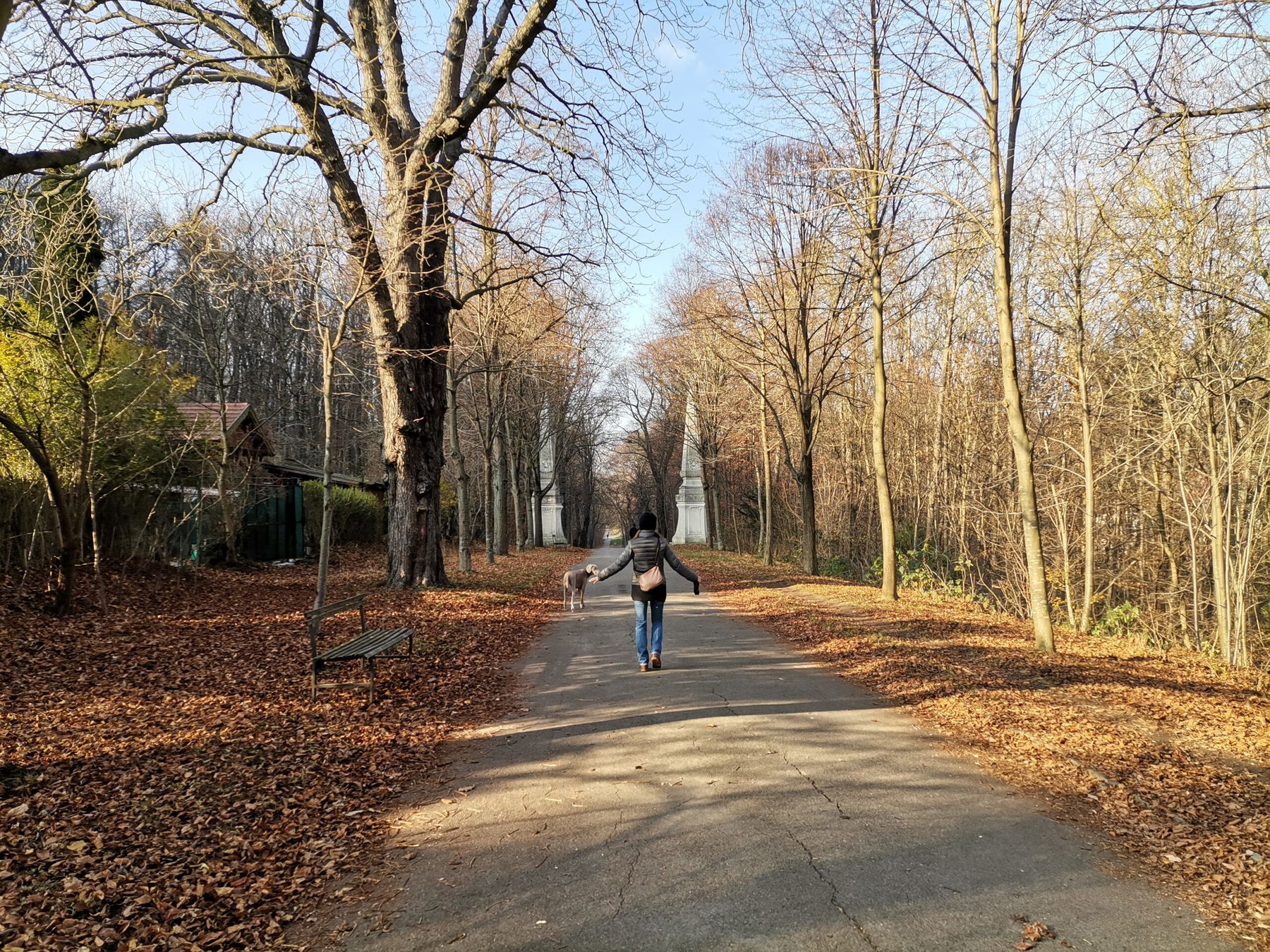 Stadtwanderweg 3 Neuwaldegg