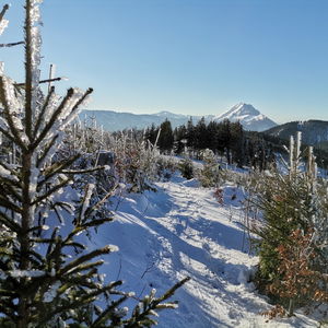 Winterfreude am Herzerlweg in Annaberg