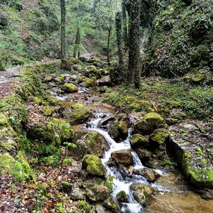 Fast spontan: Durch die Johannesbachklamm nach Neunkirchen