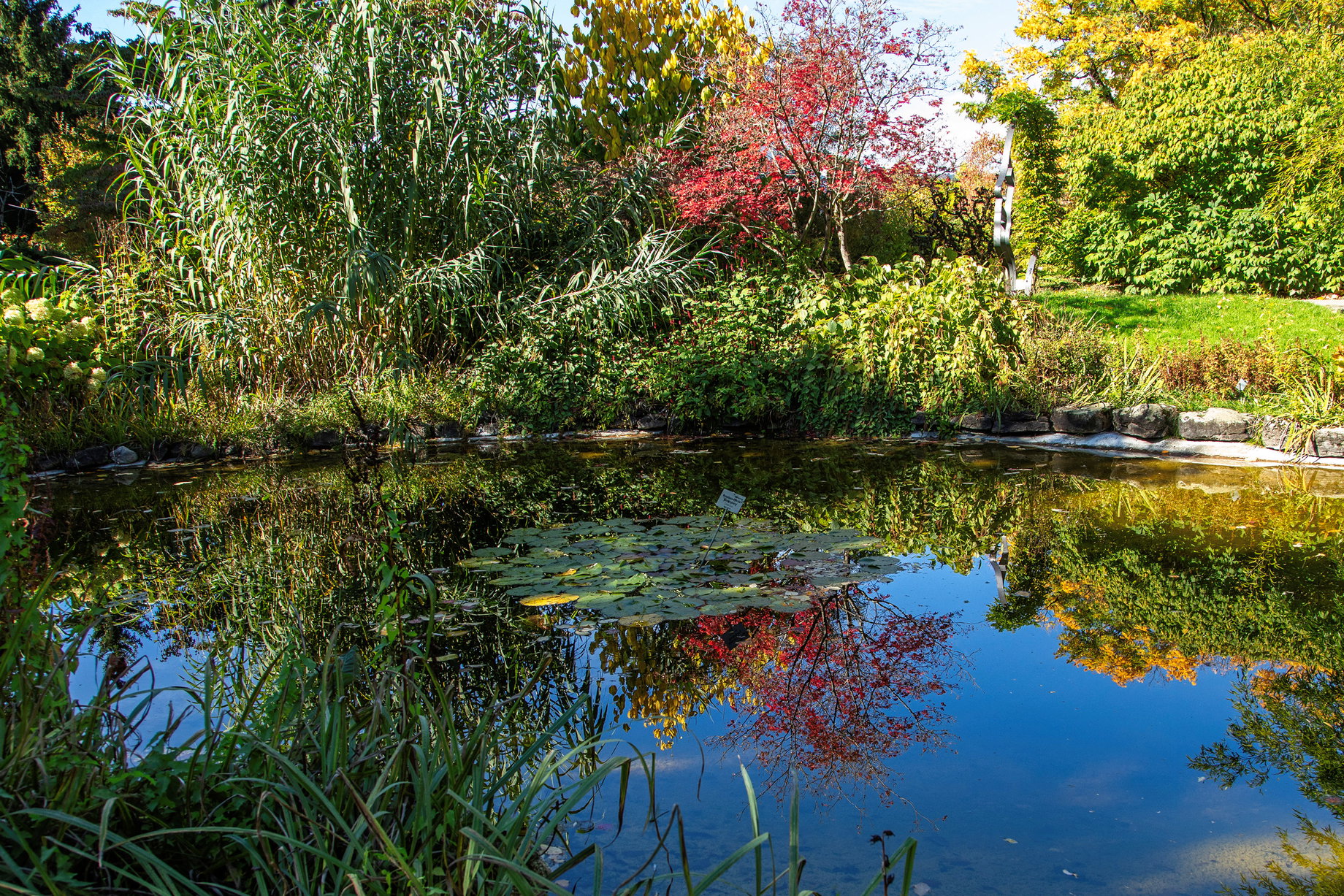 Botanischer Garten. Foto: Eva Maria Ginal