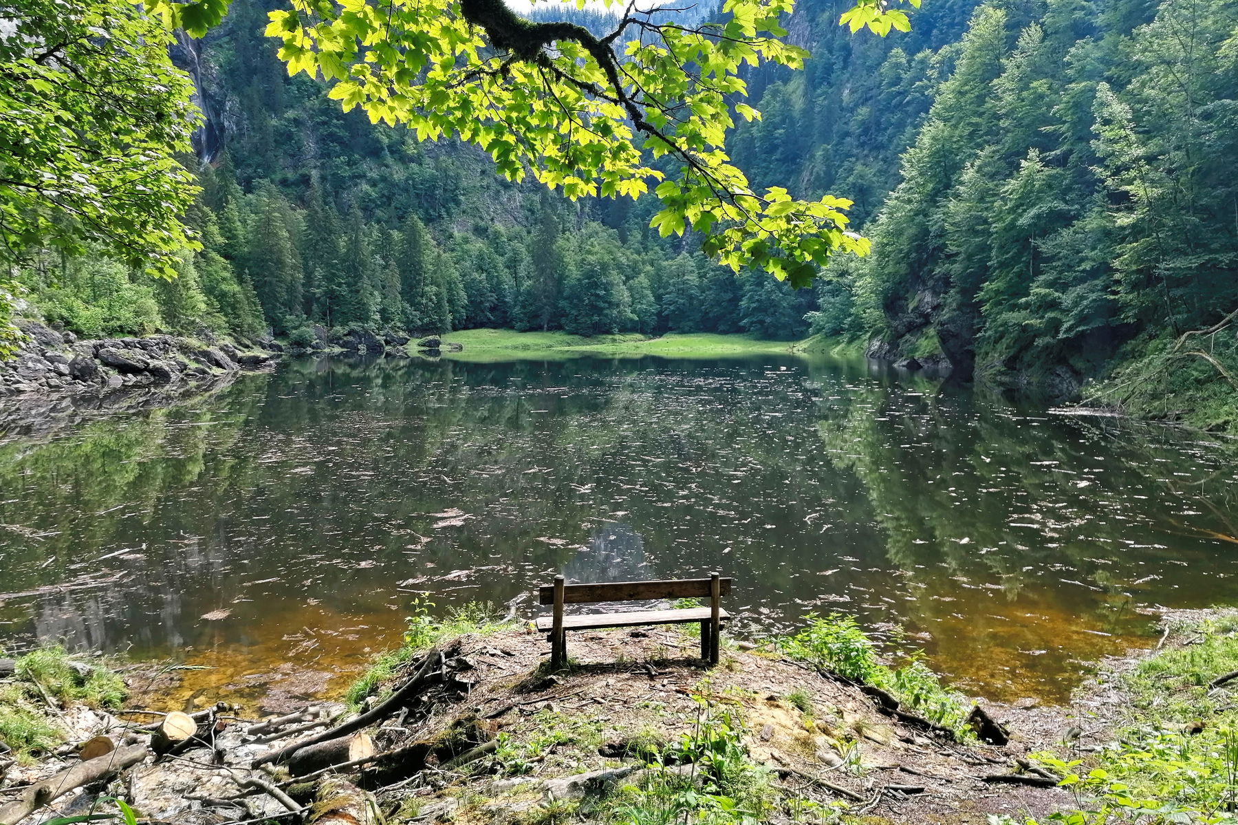 Drei Seen und eine Fast-Überschreitung: Vom Grundlsee nach Bad Mitterndorf