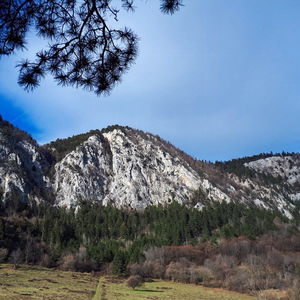 Ein Hupfer auf die Hohe Wand
