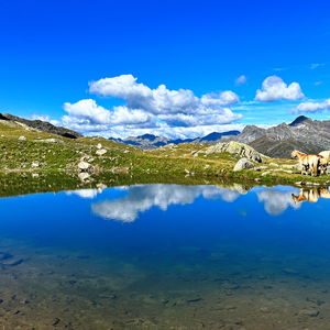Wanderurlaub Südtirol: 8 Tage auf der Hufeisentour durch die Sarntaler Alpen