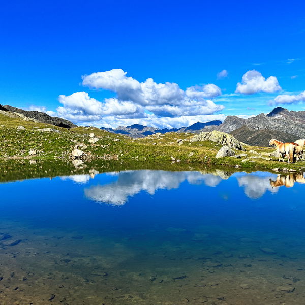 Wanderurlaub Südtirol: 8 Tage auf der Hufeisentour durch die Sarntaler Alpen