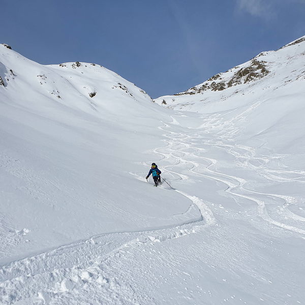 Mitterzeigerkopf