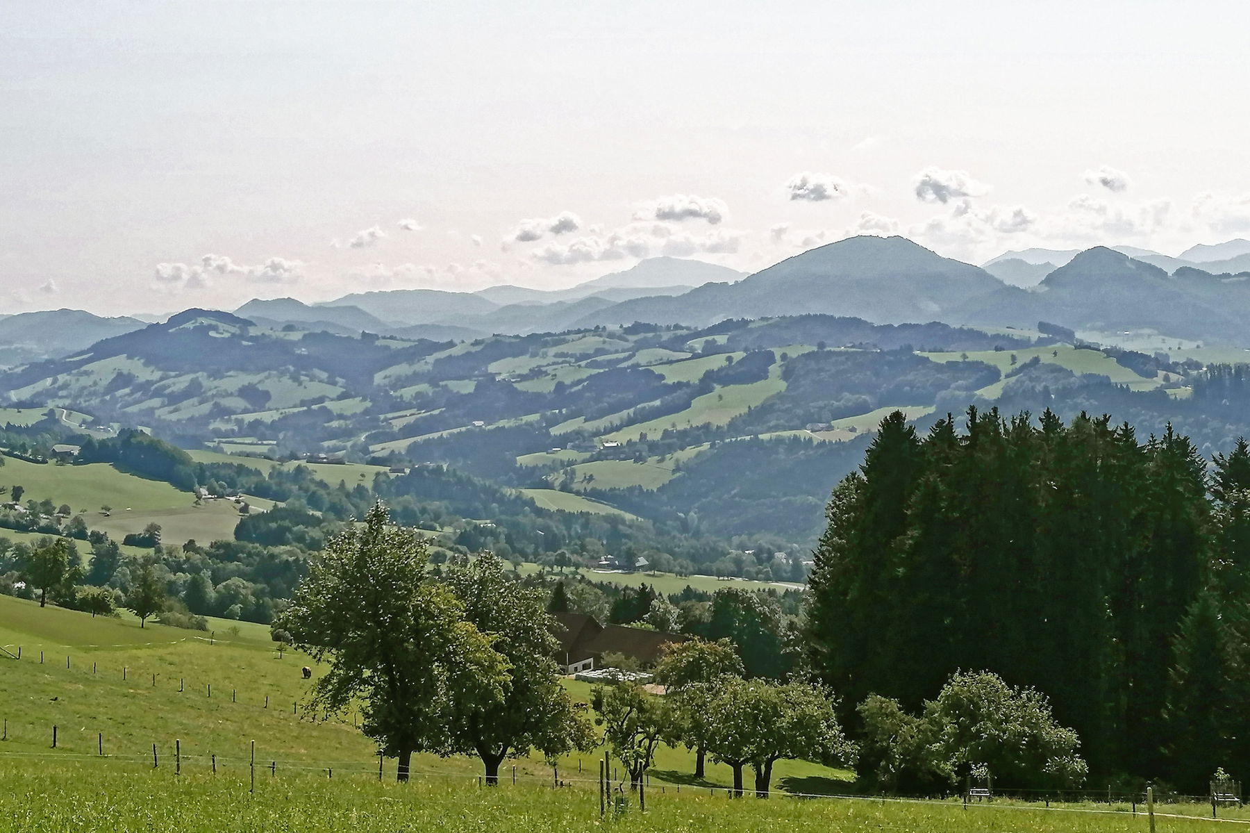 Lasst uns übers Klima reden! Höhenwanderung von Waidhofen über den Sonntagberg nach Rosenau