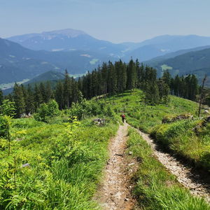 Auf wenig begangenen Wegen von Krampen nach Neuberg an der Mürz