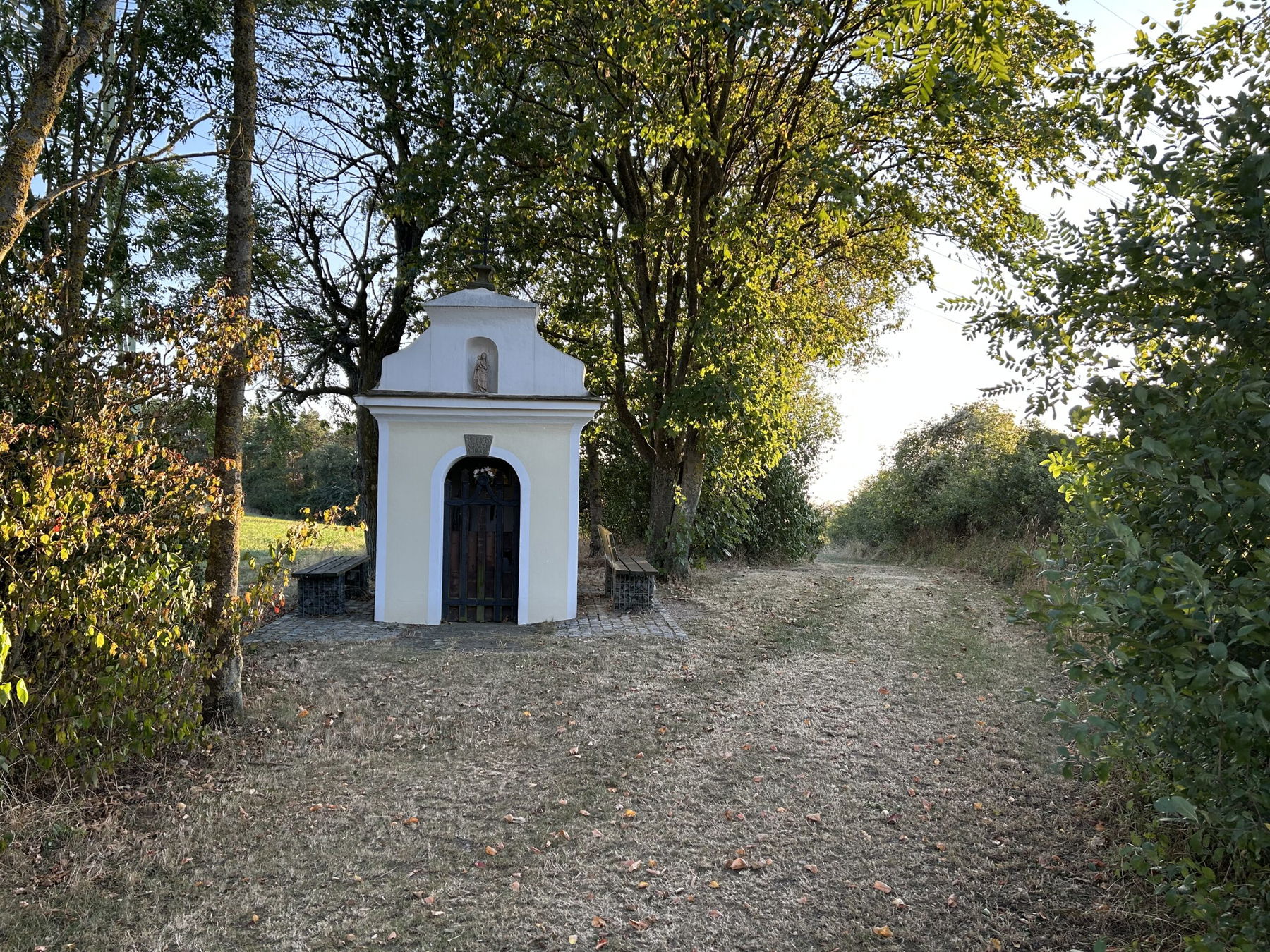 Ins Weinviertel: Von Stammersdorf nach Enzersfeld