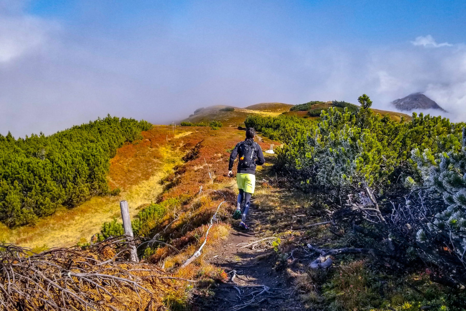 Herbstlicher Frost am Brennerkamm