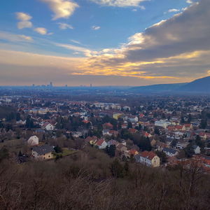 Spaziergang auf den Bisamberg