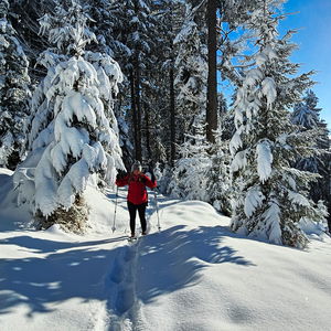 Vom Attersee über die Hochplettspitze zum Mondsee – in Schneeschuhen