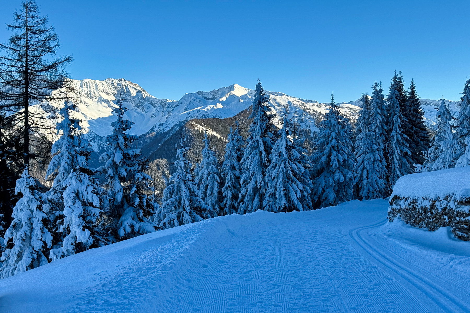 Winterwanderung von Gries am Brenner über die Nösslachhütte zur Bergeralmbahn