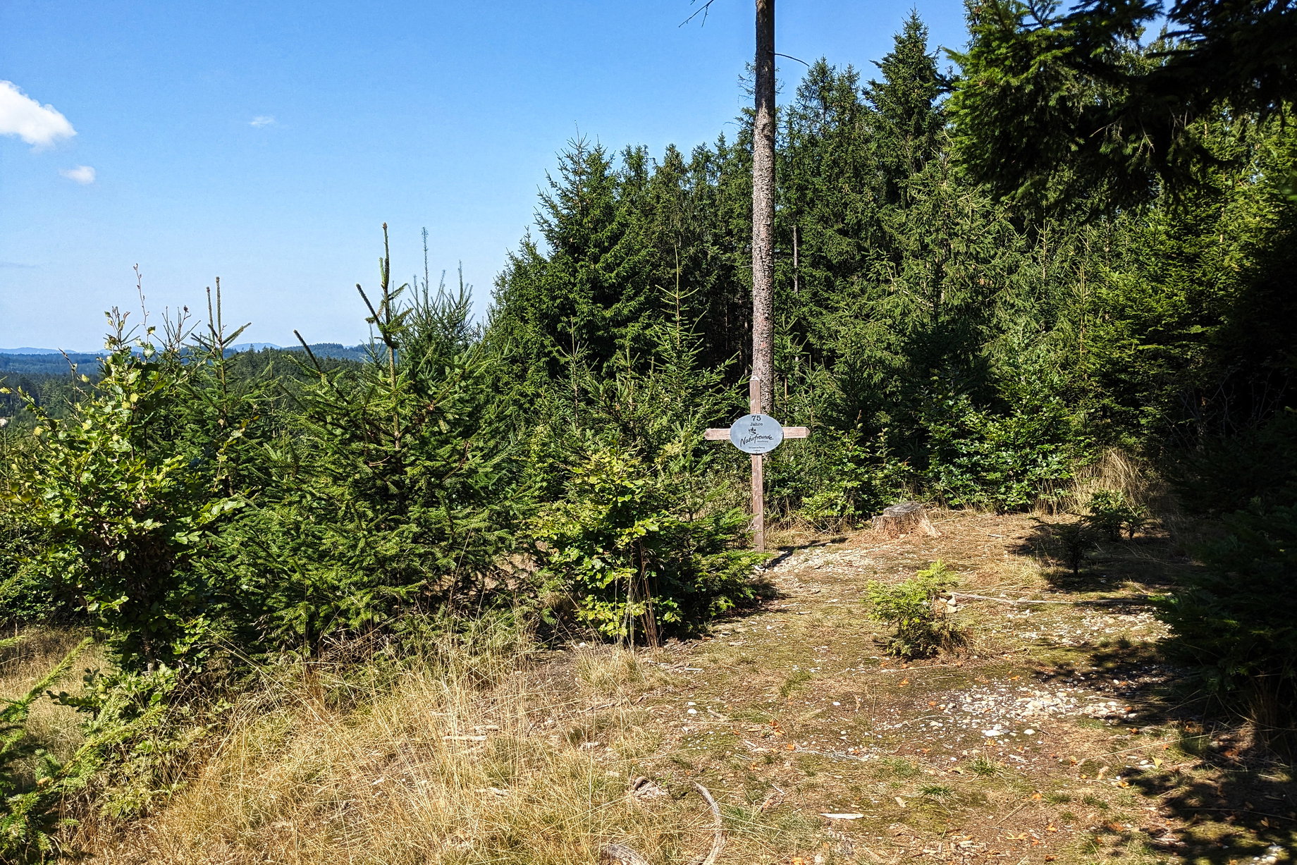 Ein kleines Kreuz der Naturfreunde markiert den Urhamerberg. Im Schatten der großen Fichte steht eine Bank mit Tisch. Auch ein kleiner Bike-Trail findet sich hier, ein Indiz für die vielfältige sportliche Nutzung des Hausruckwaldes. Foto: Thomas Obermair