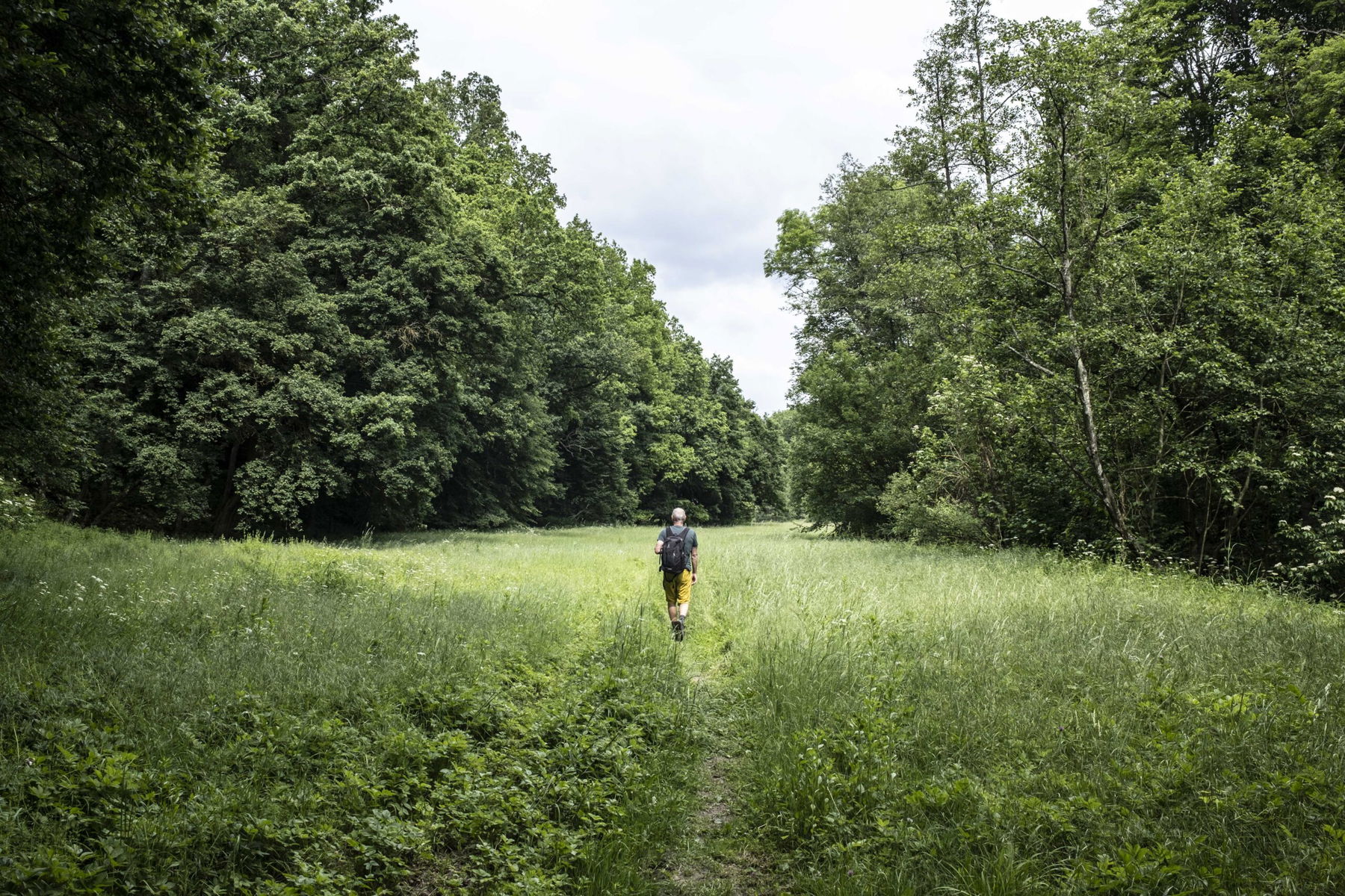 Gemütliche Wanderung im idyllischen Taffatal
