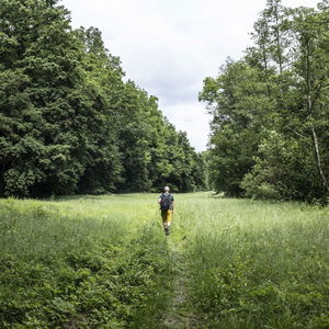 Gemütliche Wanderung im idyllischen Taffatal