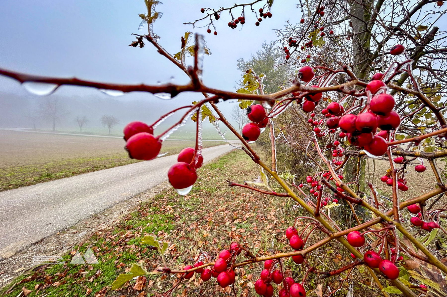 Von Drasenhofen nach Poysdorf