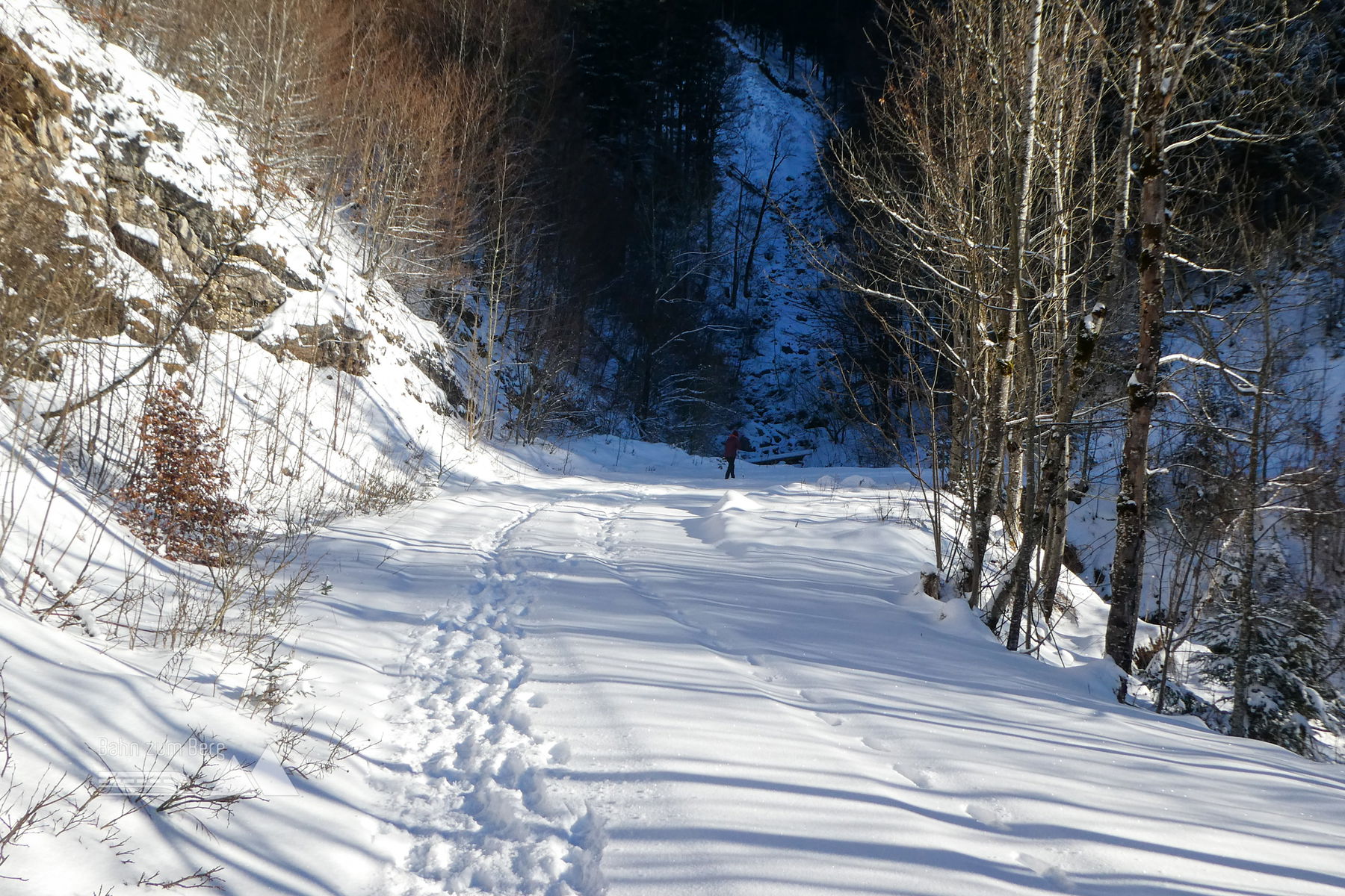 Sonnenspaziergang im Weihnachtsschnee: Hintersee – Lämmerbach