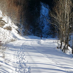 Sonnenspaziergang im Weihnachtsschnee: Hintersee – Lämmerbach