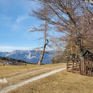Rundwanderung von Payerbach-Reichenau (Rax und Schneeberg immer im Blick)